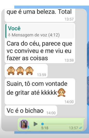 Captura de tela 2025-11-04 232612